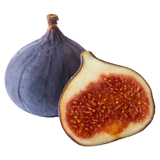 Fresh Fig