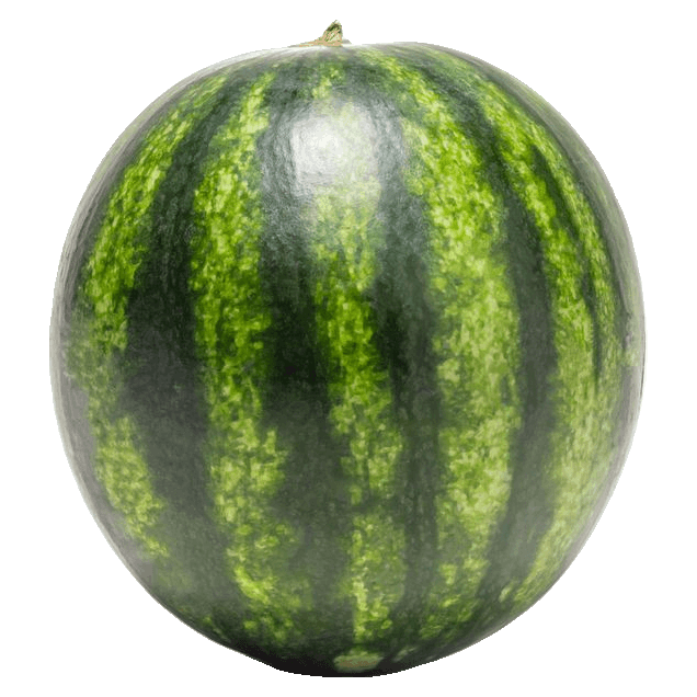 Seedless Watermelon