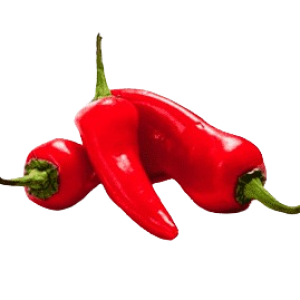 png-clipart-three-red-chili-peppers-bell-pepper-jalapexf1o-chili-pepper-capsaicin-food-pepper-s-natural-foods-eating-thumbnail-removebg-preview