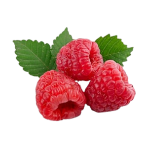 pngtree-raspberry-diet-vitamin-complete-png-image_3421358-removebg-preview